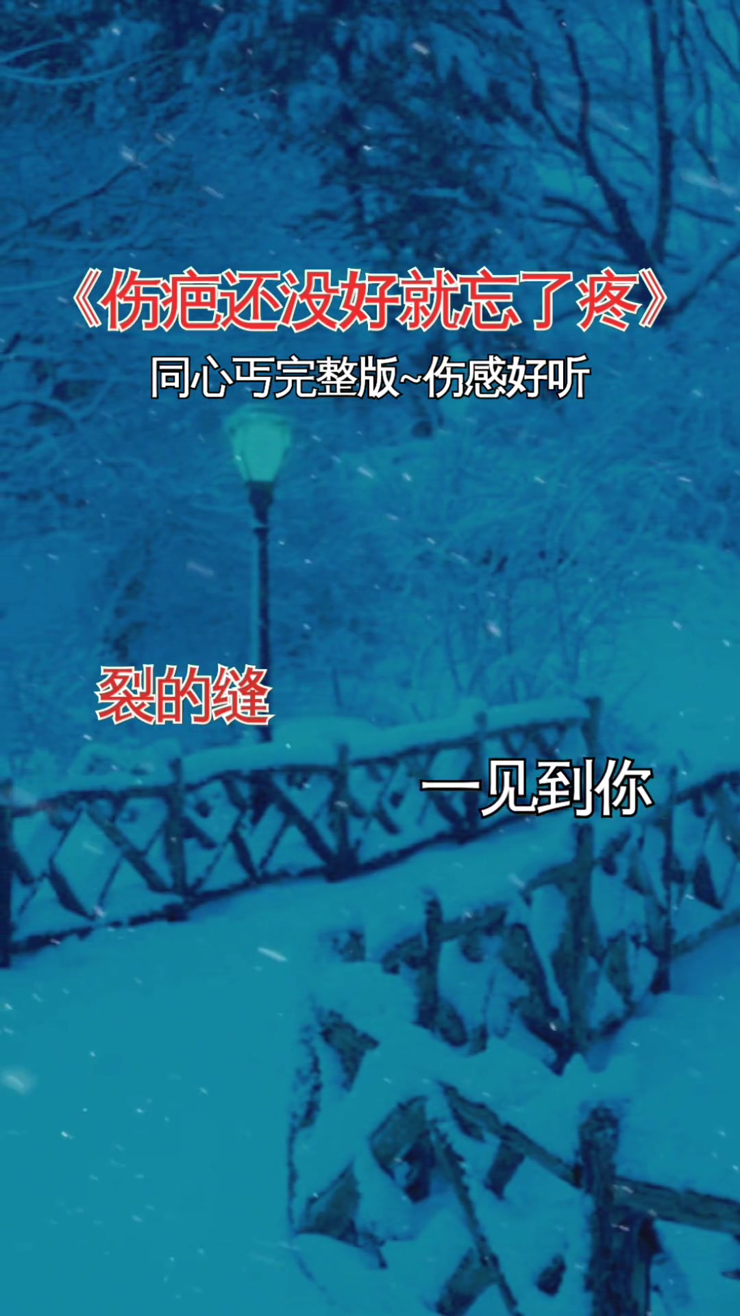 伤疤还没好就忘了疼