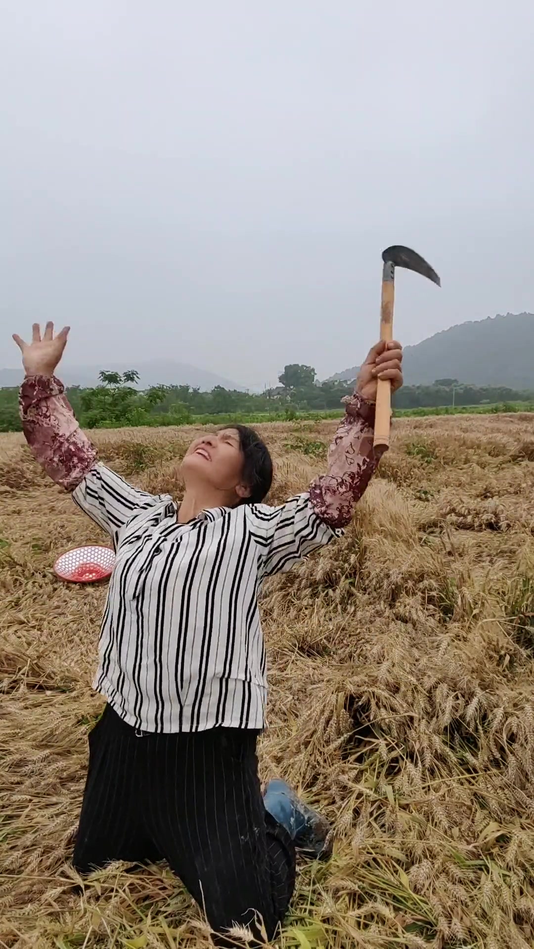 农民种地怎么唱出农民的无奈和心酸