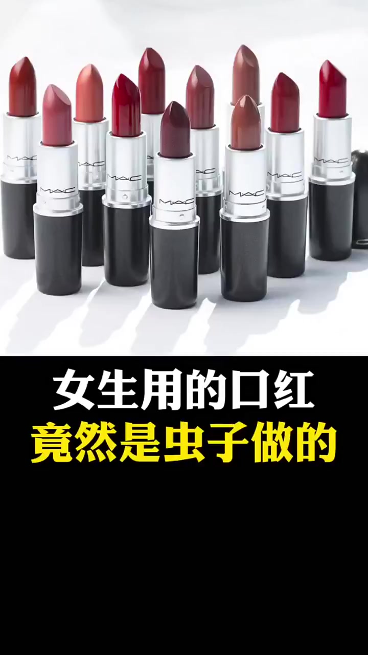 女生每天都要用的口红竟然是虫子做的