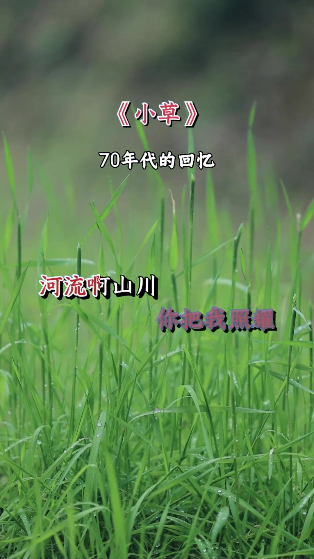 一首好听的歌曲分享给你