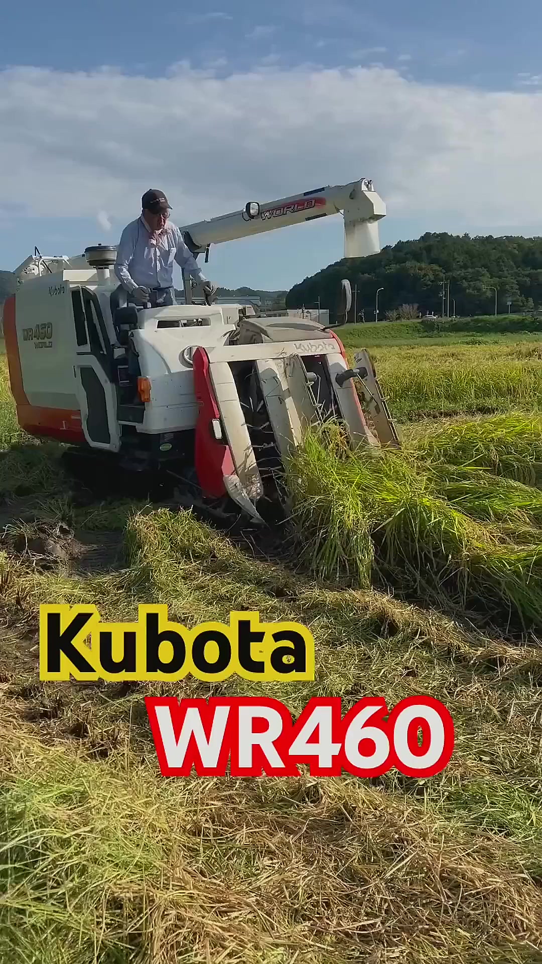久保田收割机精准操作,穿梭稻田,秋收不费力!