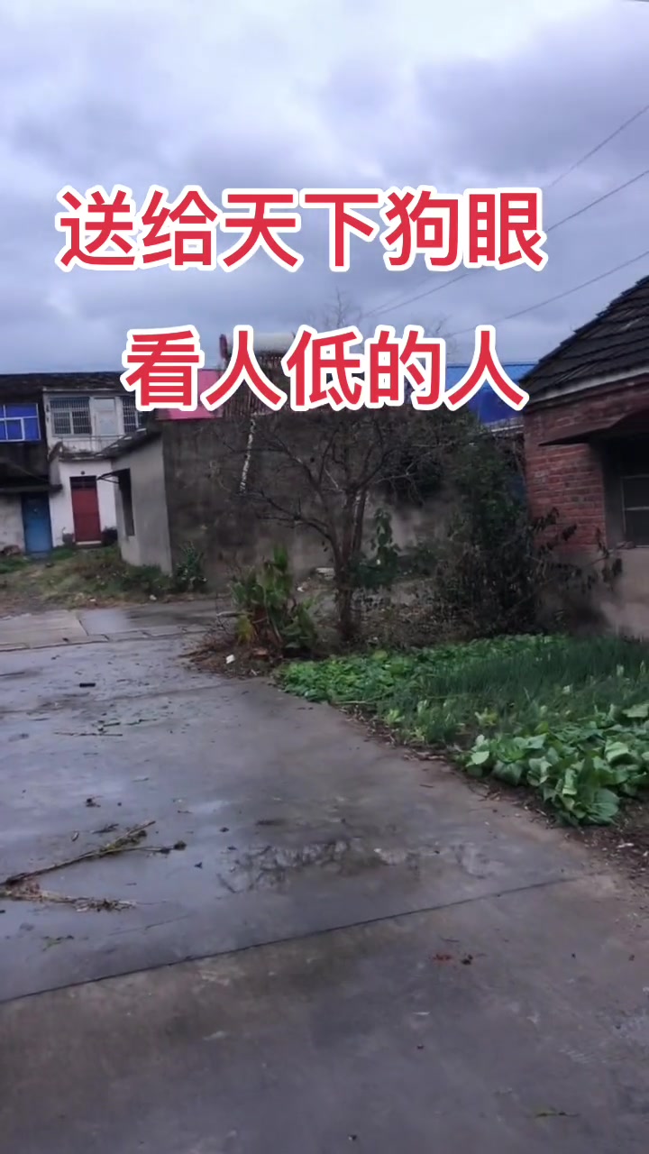 在这个现实的社会里,有那些狗眼看人低,议论别人扯东扯西