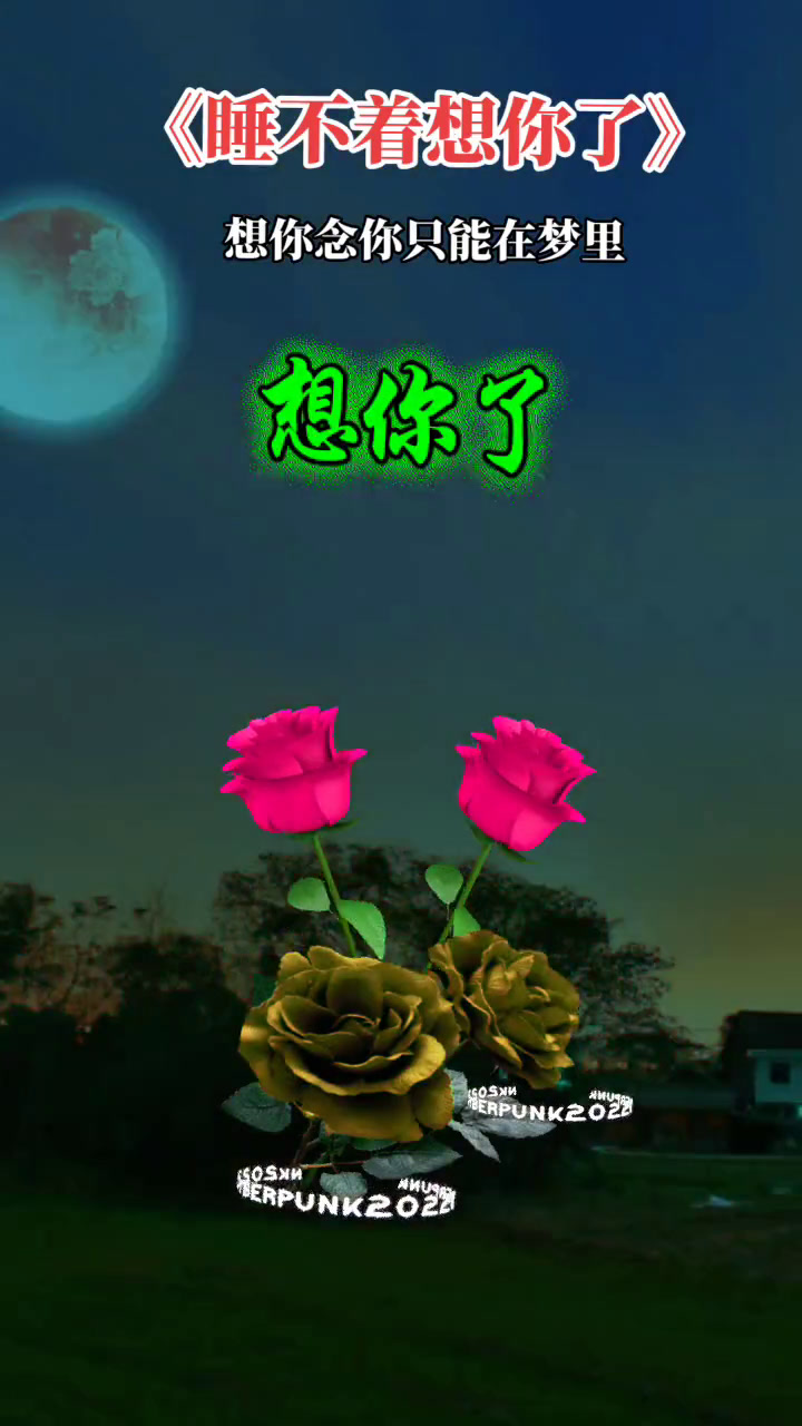 想你念你只能在梦里