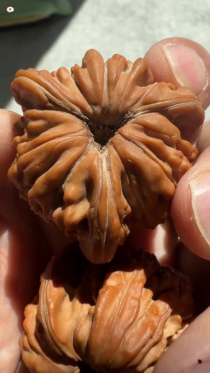 四座楼三棱狮子头,值得把玩的文玩核桃