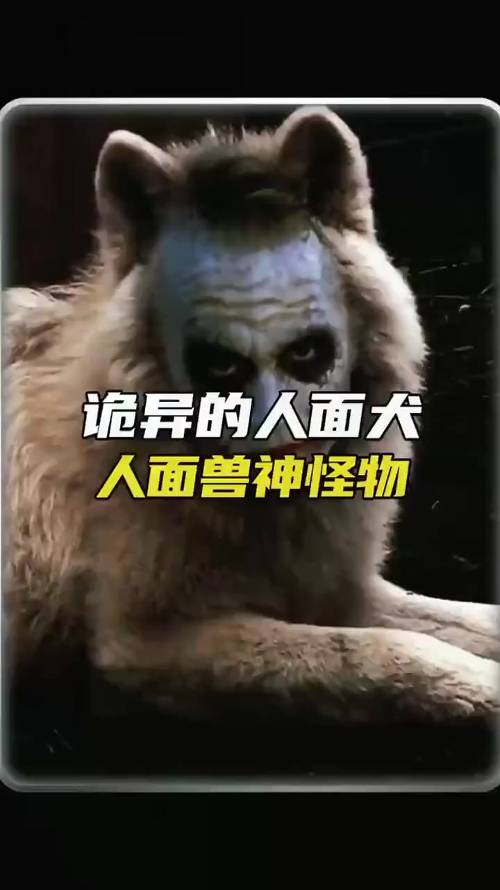 你见过,人面兽身的怪物吗?