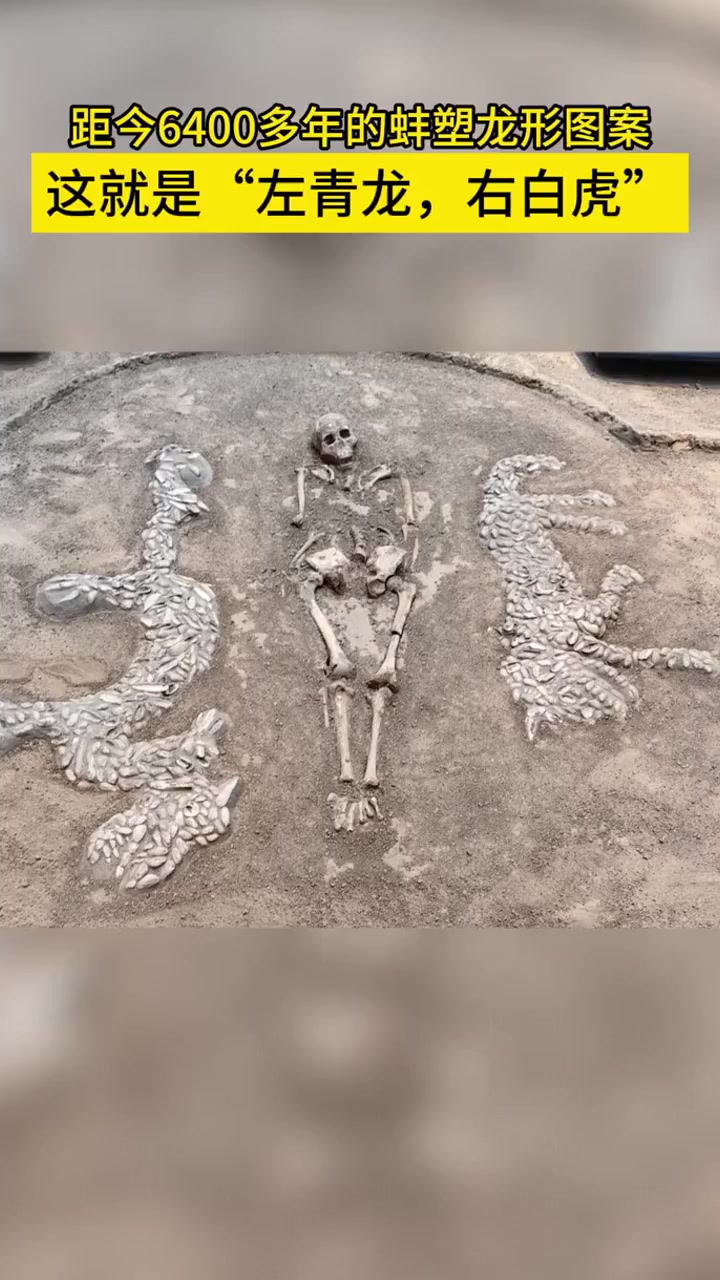 1987年在河南濮阳西水坡仰韶文化早期遗址的一座墓葬中,在男性墓主