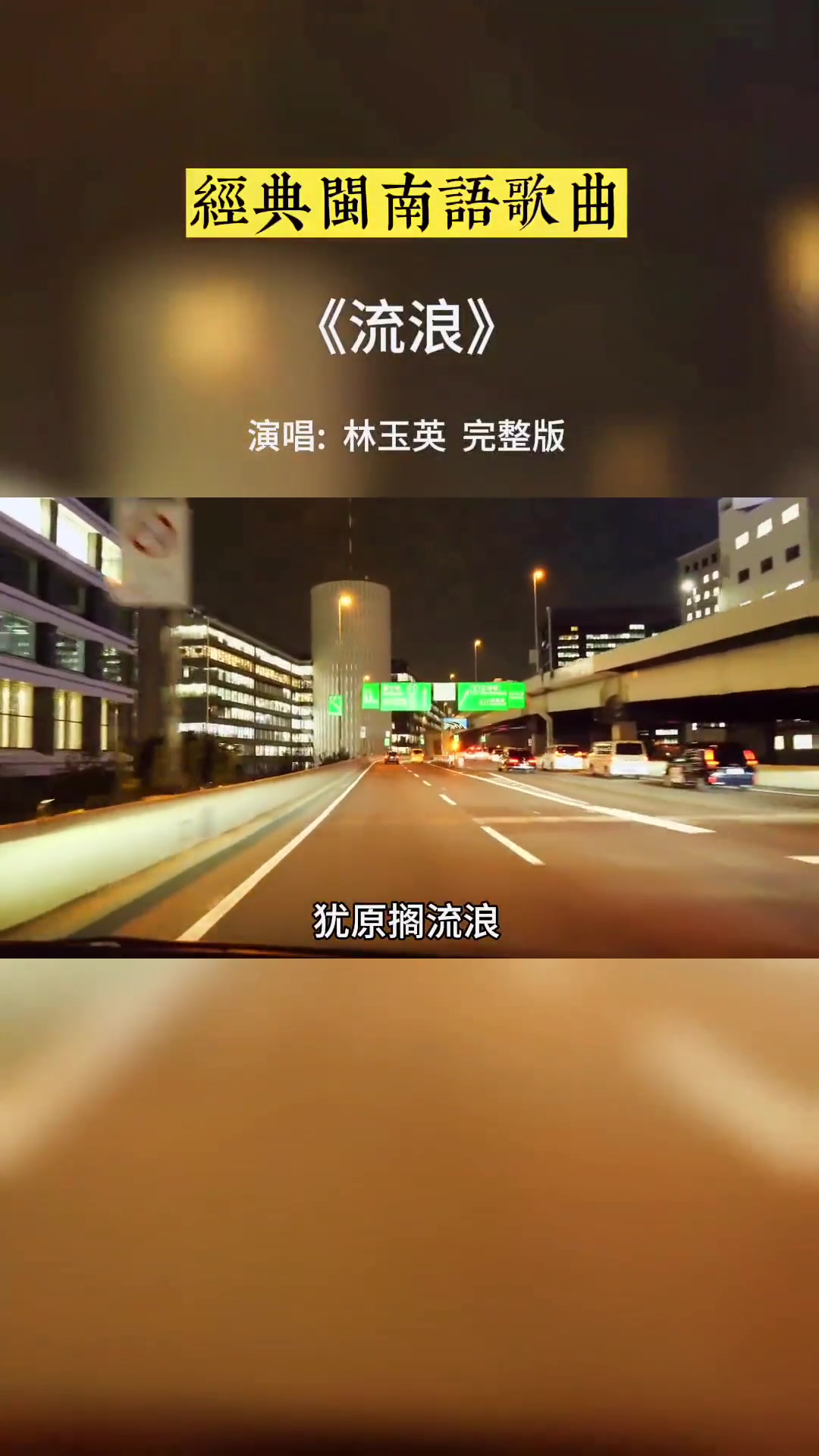 为什么流浪猫比流浪狗多百科在线 为什么流浪猫比流浪狗多百科在线