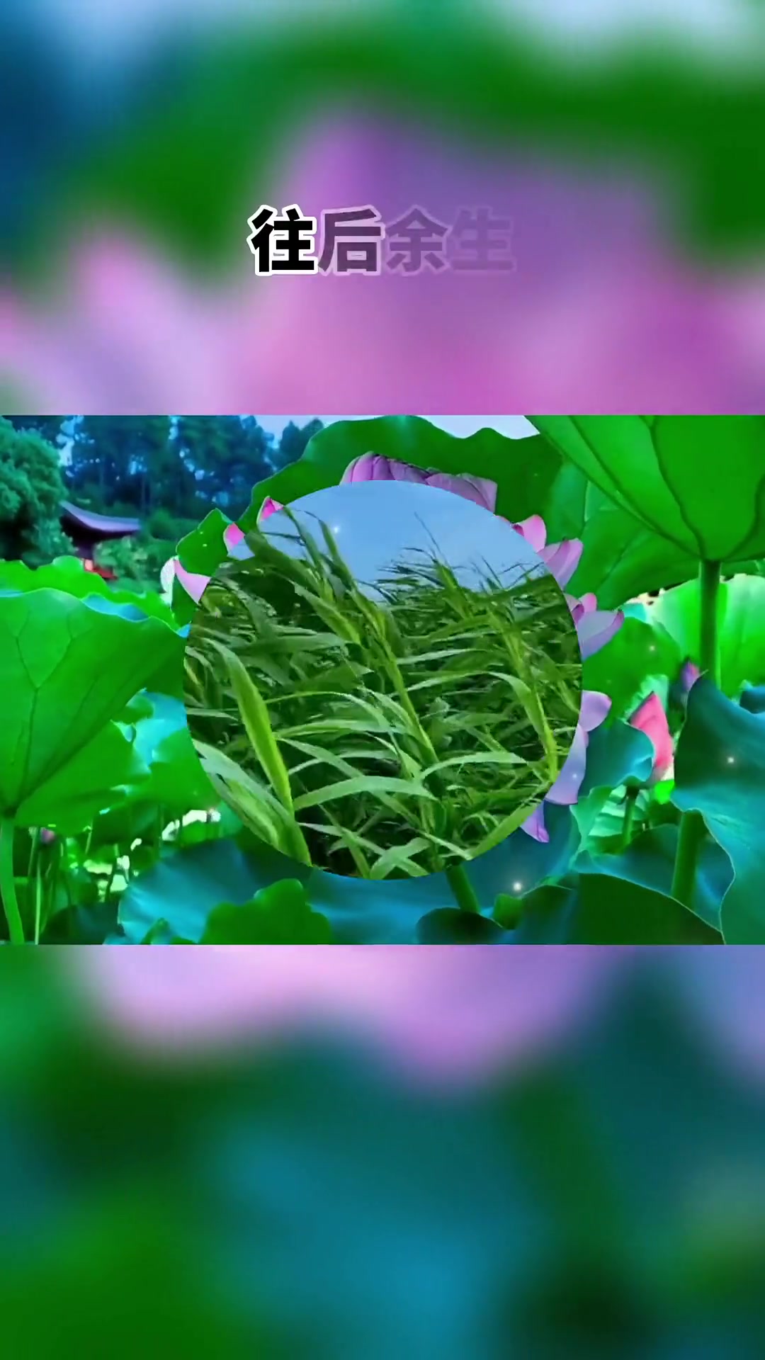 人生如梦,岁月如歌.风景依然在,人已非少年