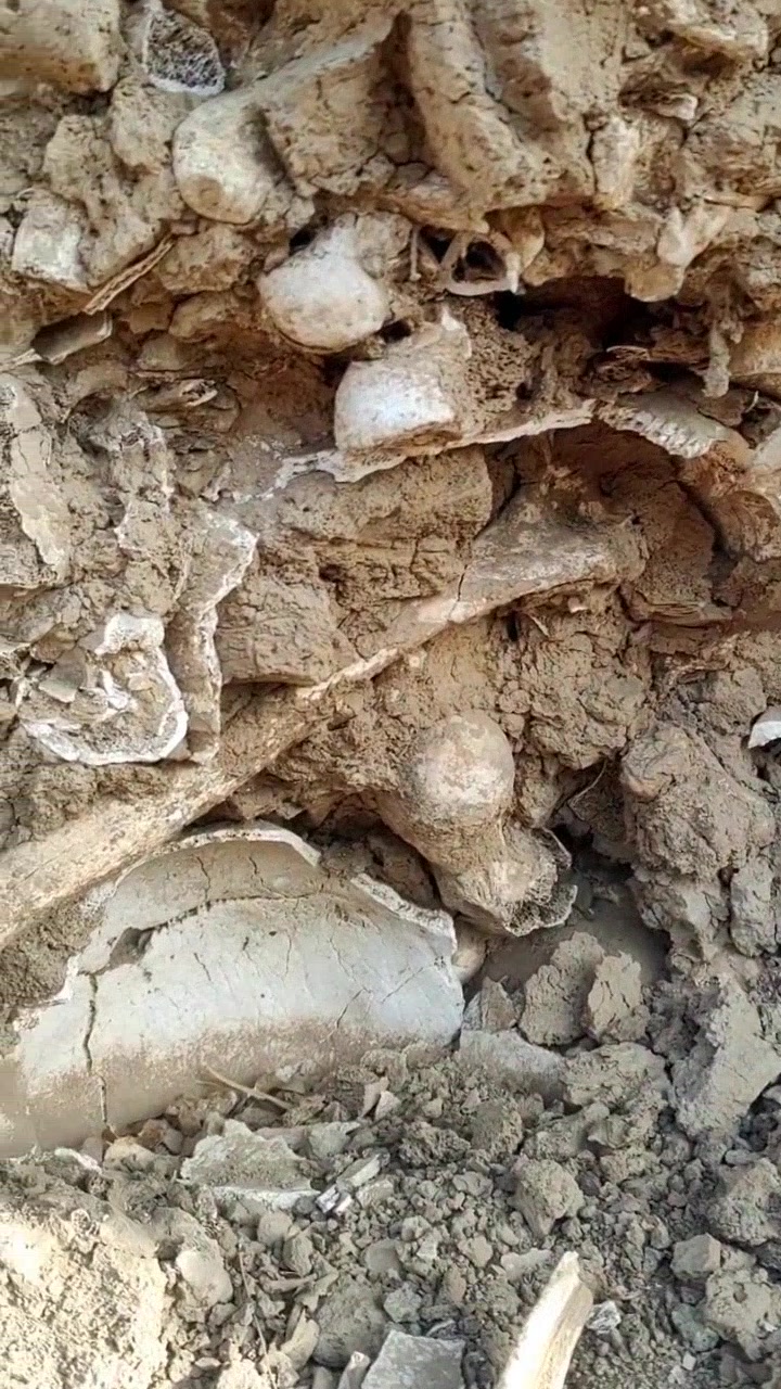 见到传说中的"京观",令人惊叹