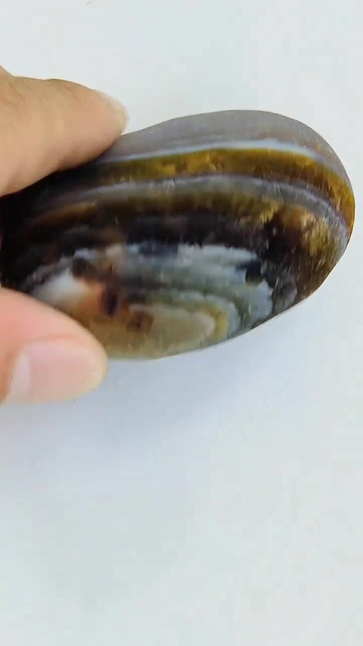 6.5 公分水线,绿草绵延 120 米