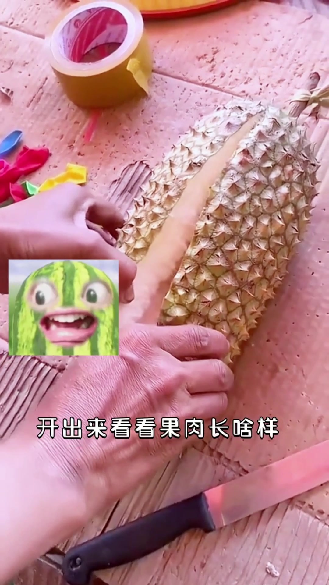 被这根榴莲打败了,确定不是和丝瓜杂交的吗