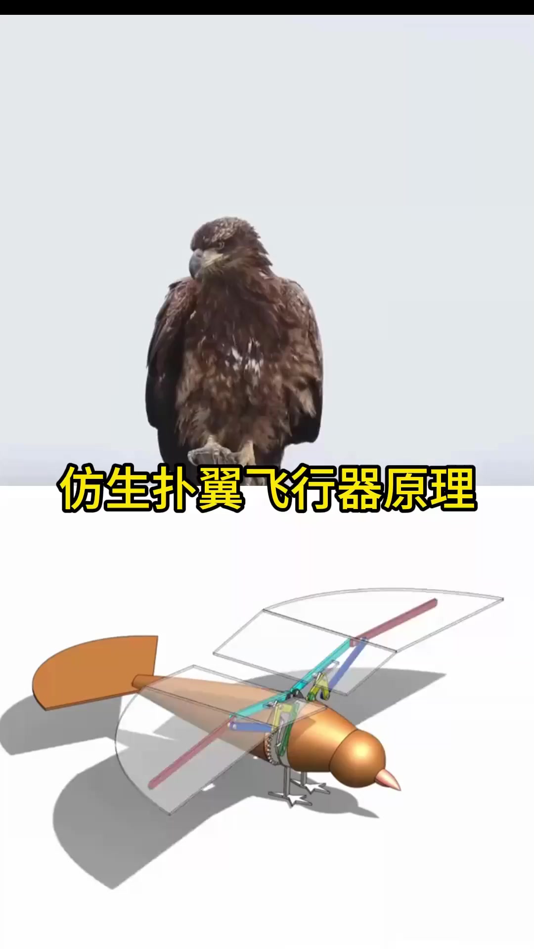 仿生扑翼飞行器原理