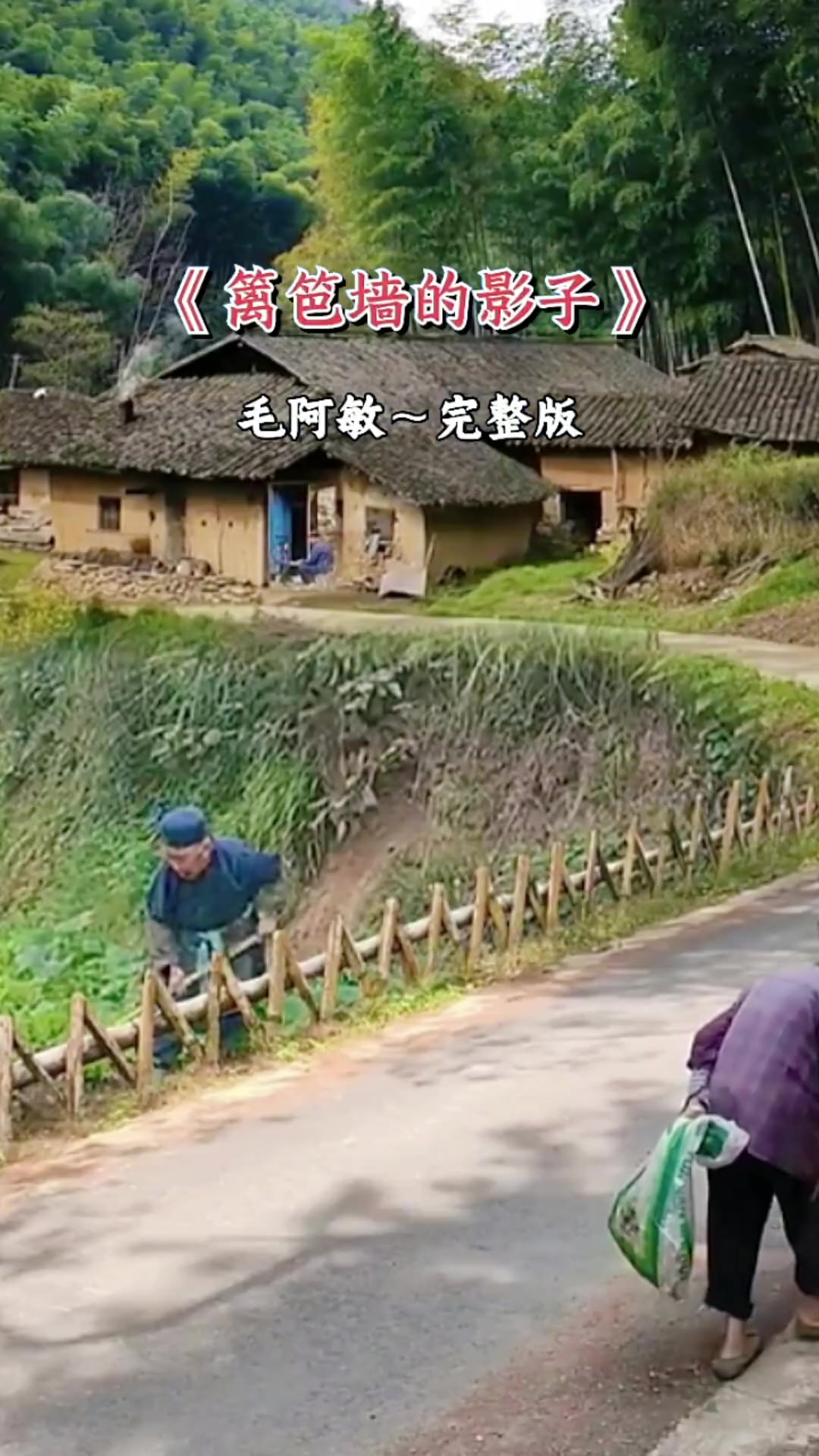 经典老歌 篱笆墙的影子