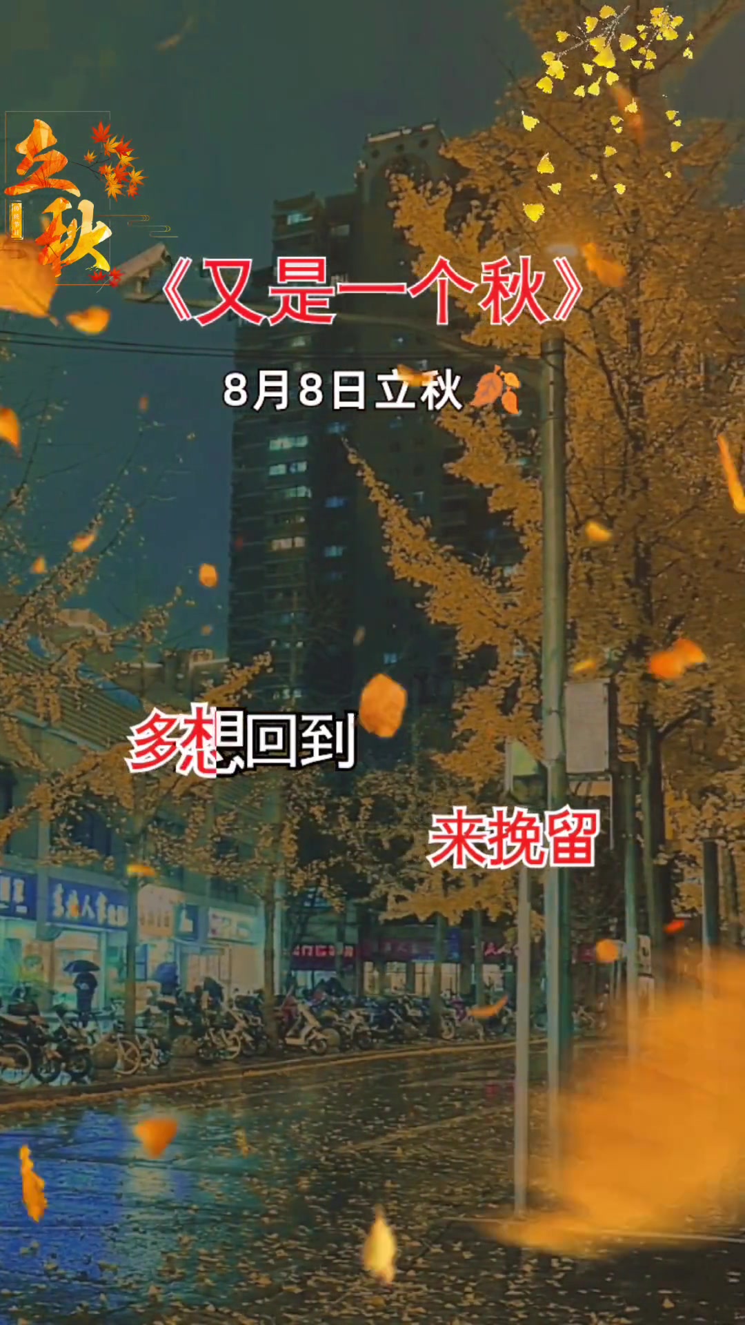 时间一晃半年已过,不知不觉又是一年一次八月八