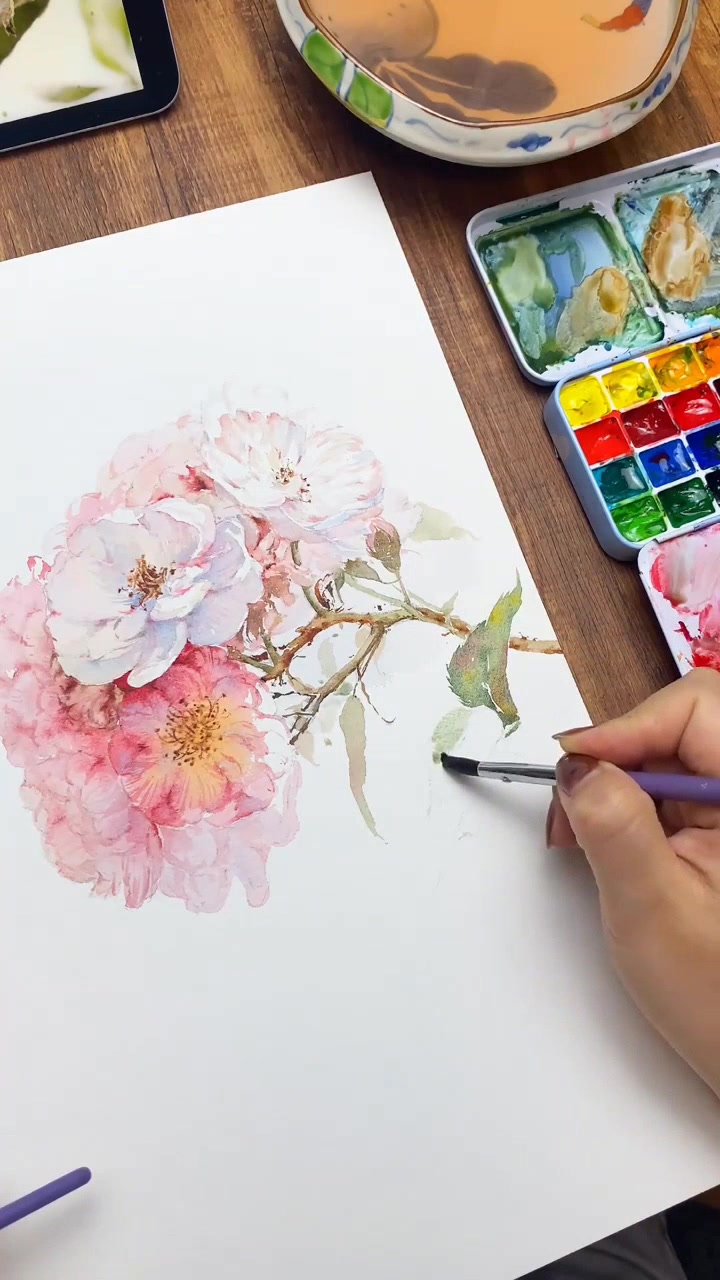 水彩画,一枝蔷薇花的绽放