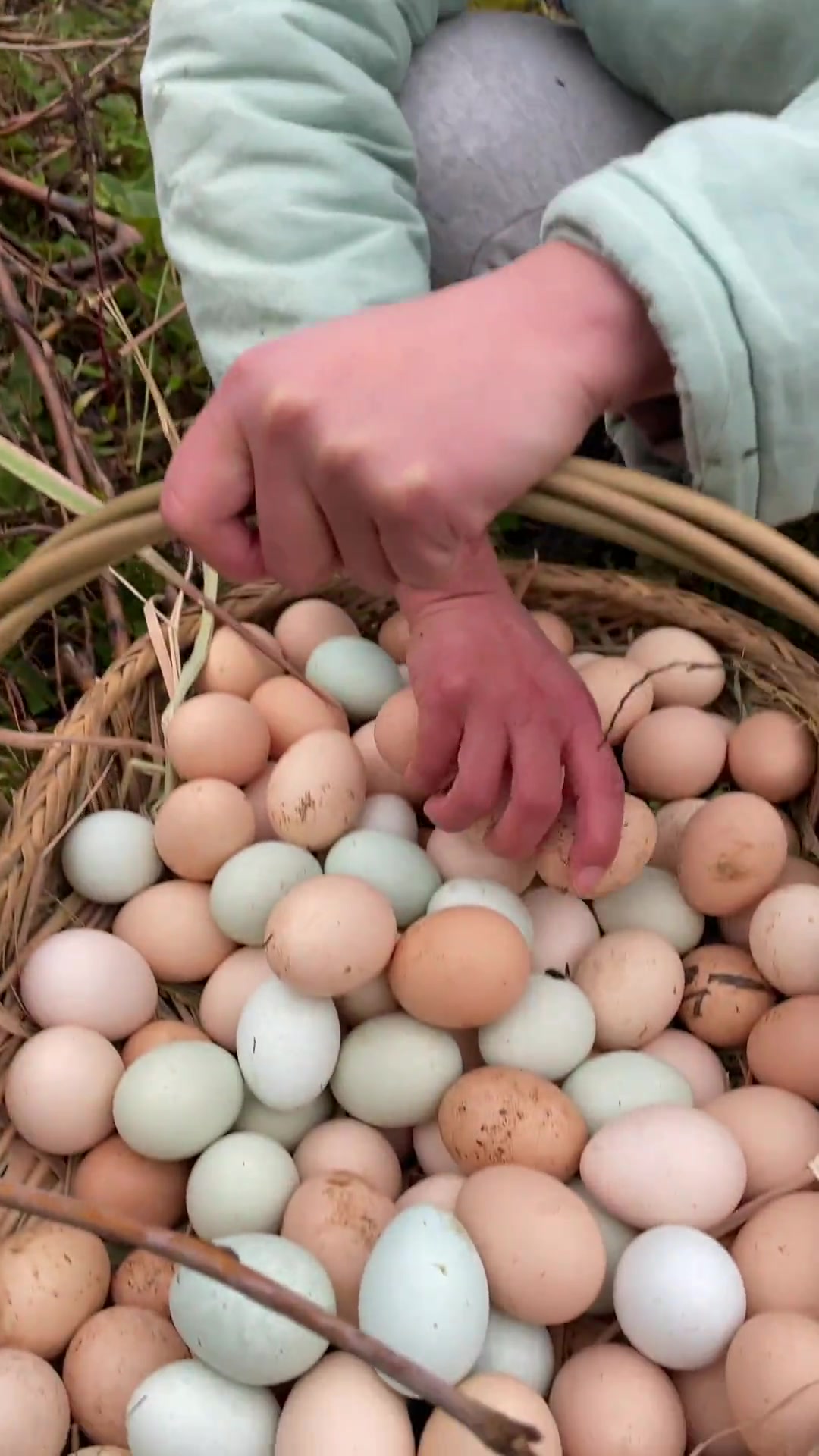 U8国际- U8国际官方网站- U8体育APP下载在农村适合懒人养殖并且很赚钱的五大牲畜!大家了解一下吧!