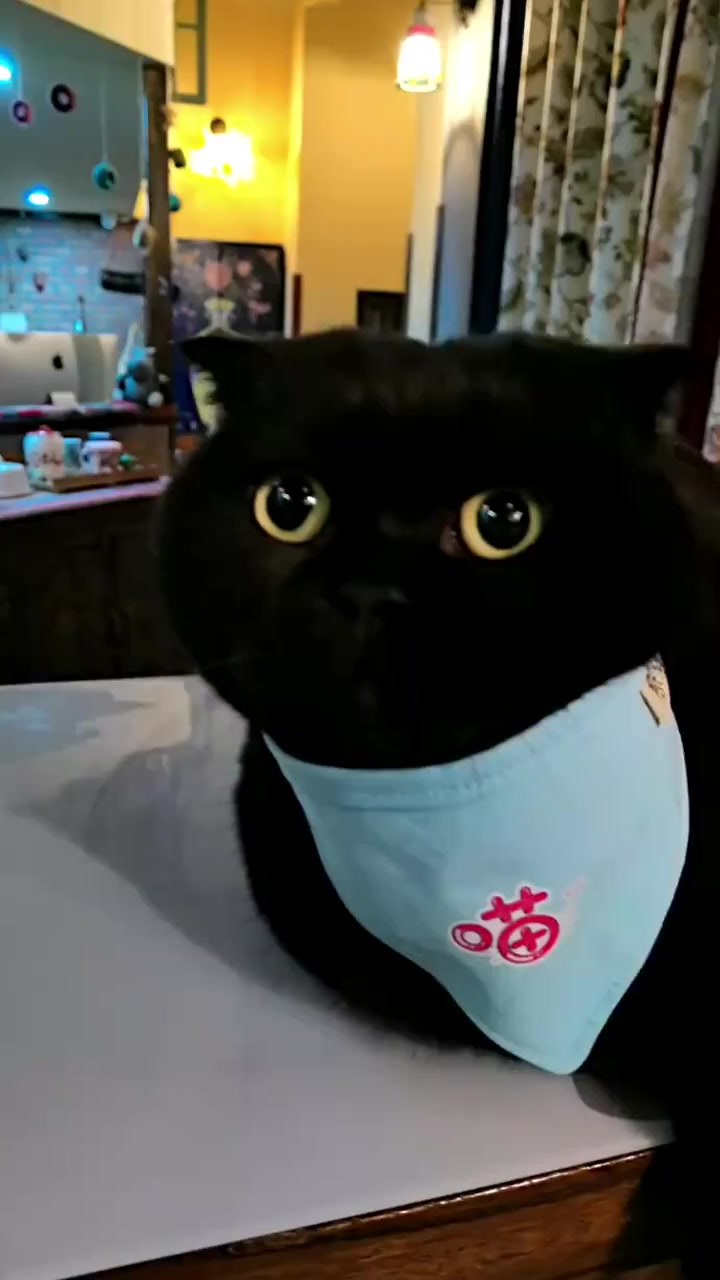 脸黑有啥好的!看把这种识别软件累的……唉,头疼!