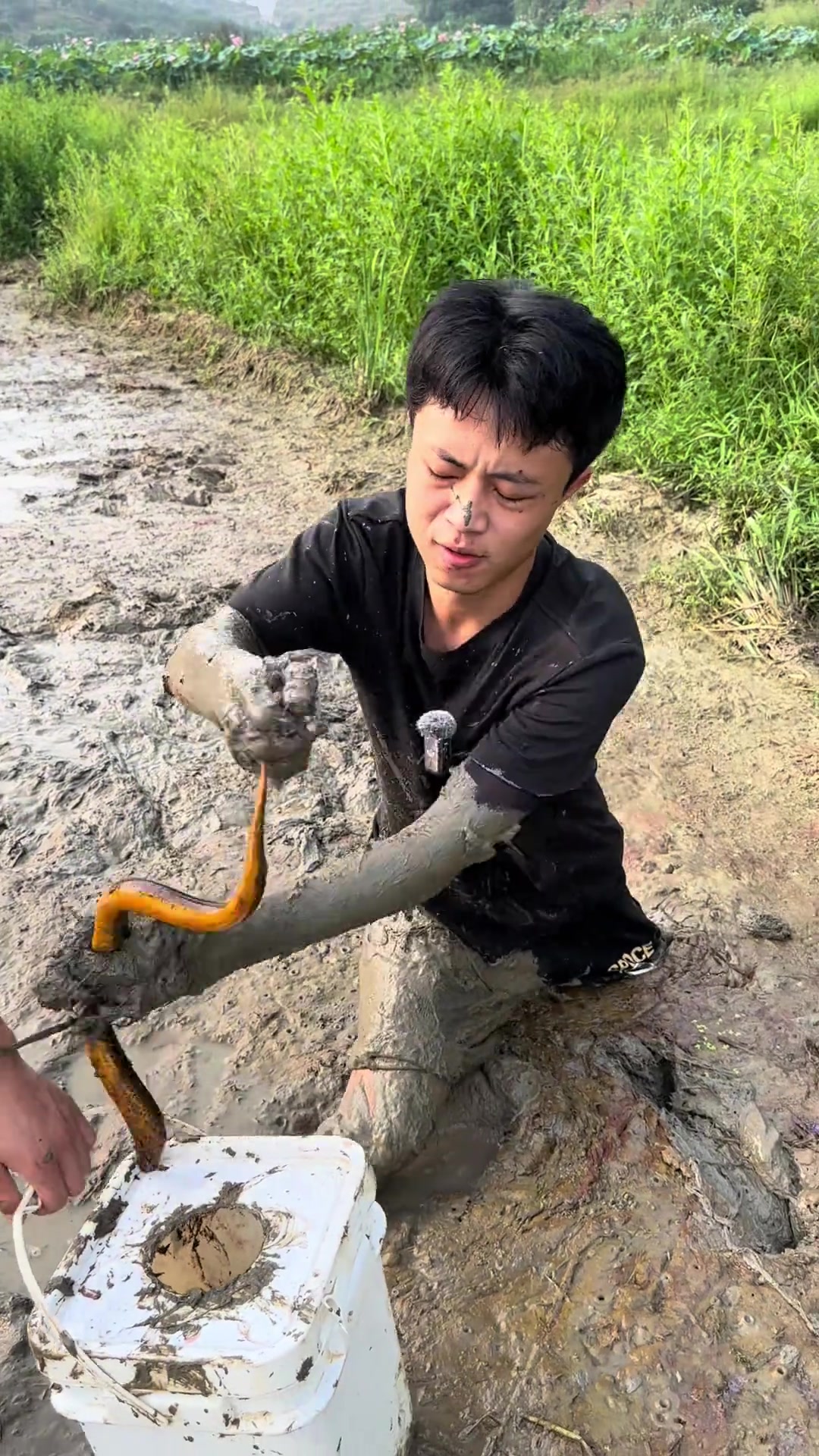 今天挑战一下两个小时抓够6斤以上的鳝鱼,到底能不能成功?