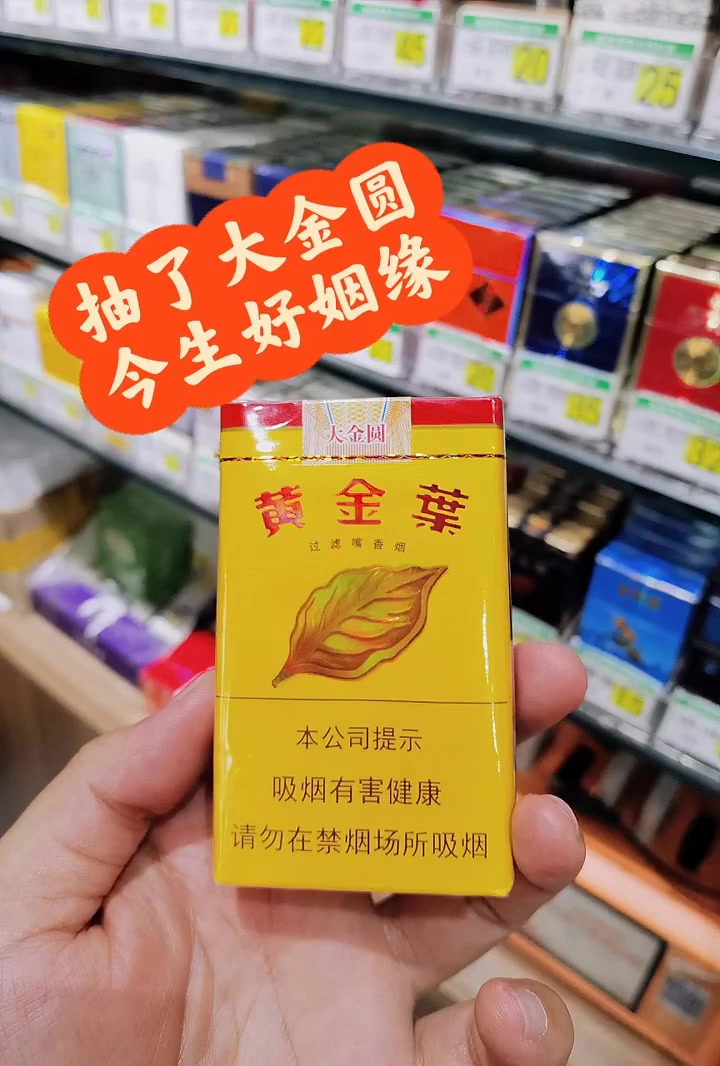 一抽定情:大金圆牵线好姻缘