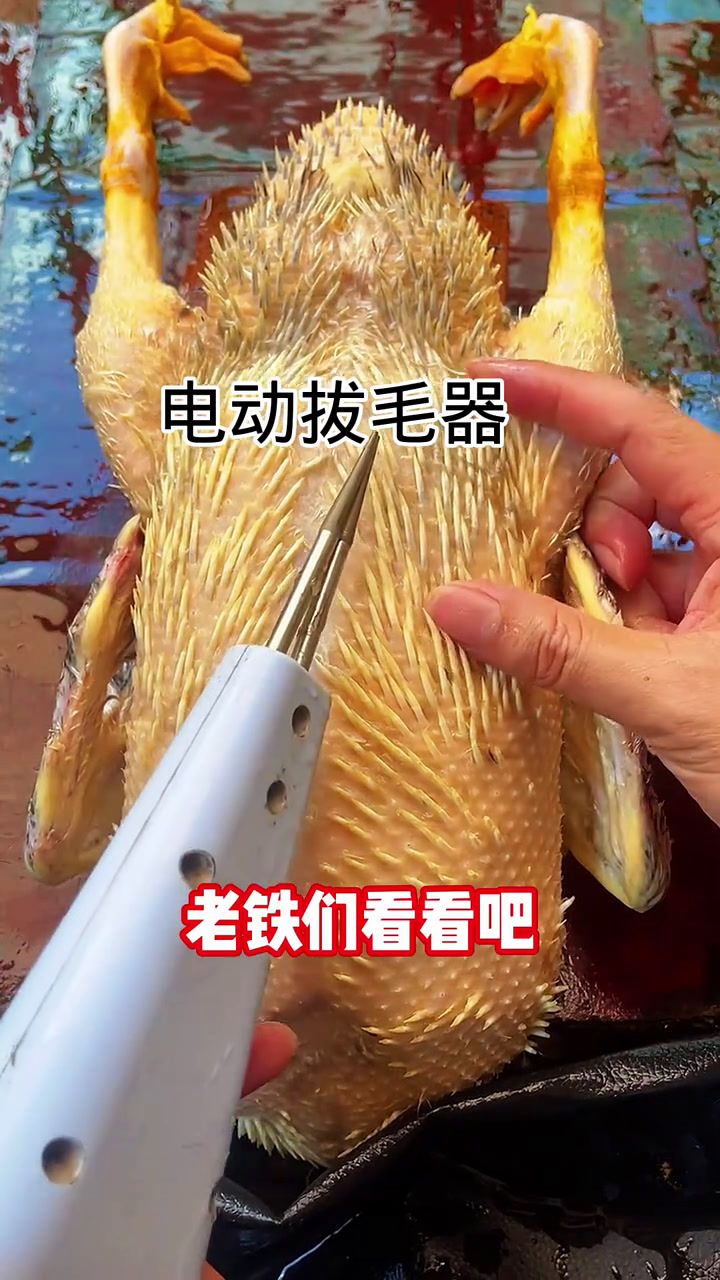 这是一款鸡鸭鹅拔毛器