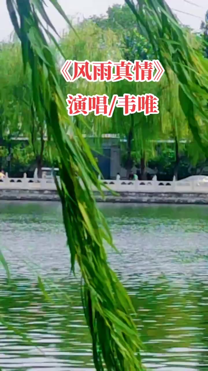 《风雨真情》,风雨过后,便是晴天阳光,风雨过后