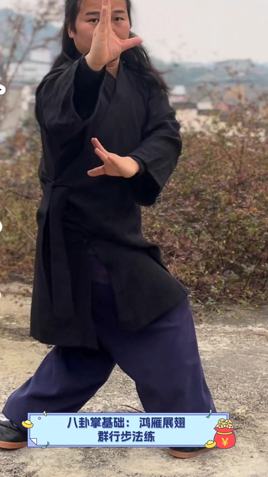 八卦掌基础:鸿雁展翅,群行步法练