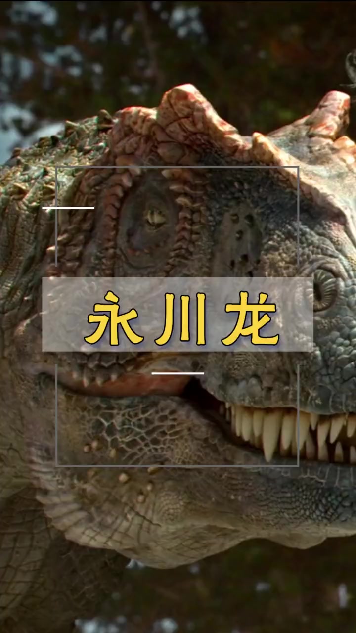 永川龙生存于侏罗纪晚的中国重庆大型食肉恐龙全长约11米