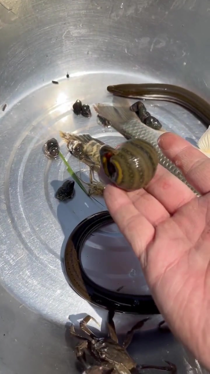 今天收到个大家伙!