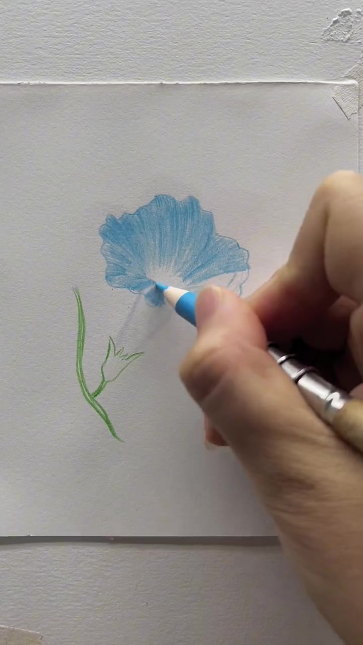 零基础彩铅牵牛花