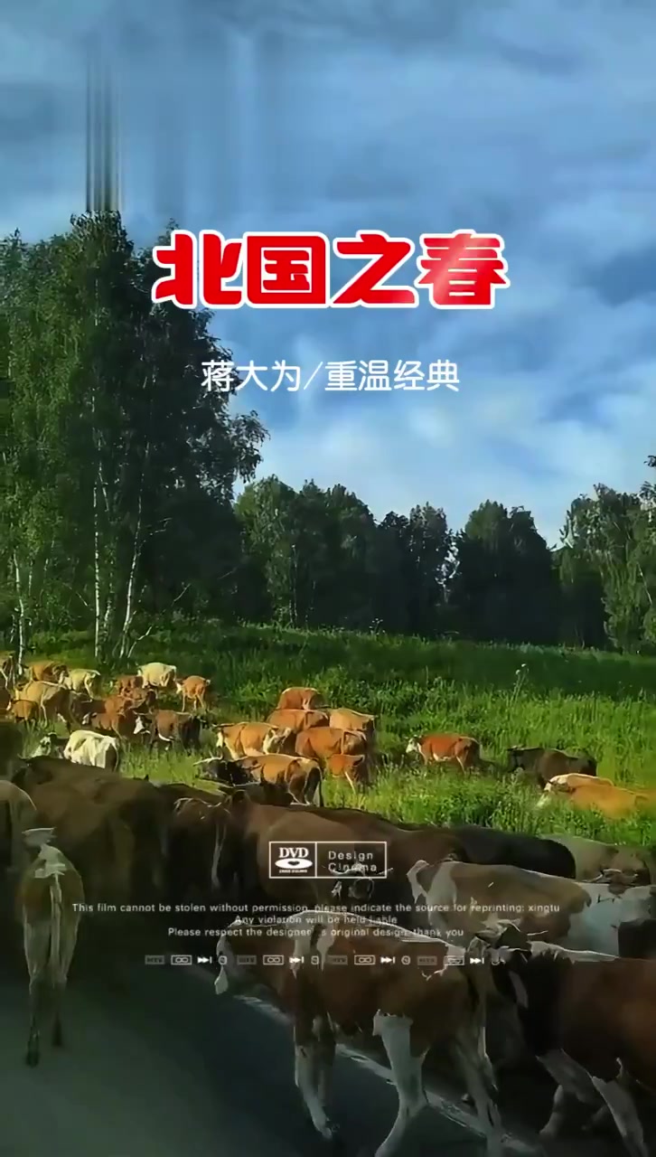 重温经典《北国之春》