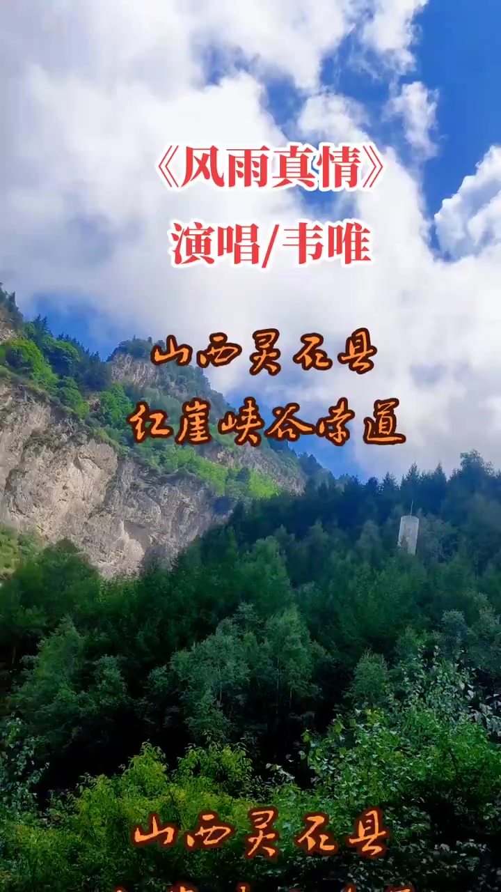 韦唯《风雨真情》完整版歌曲