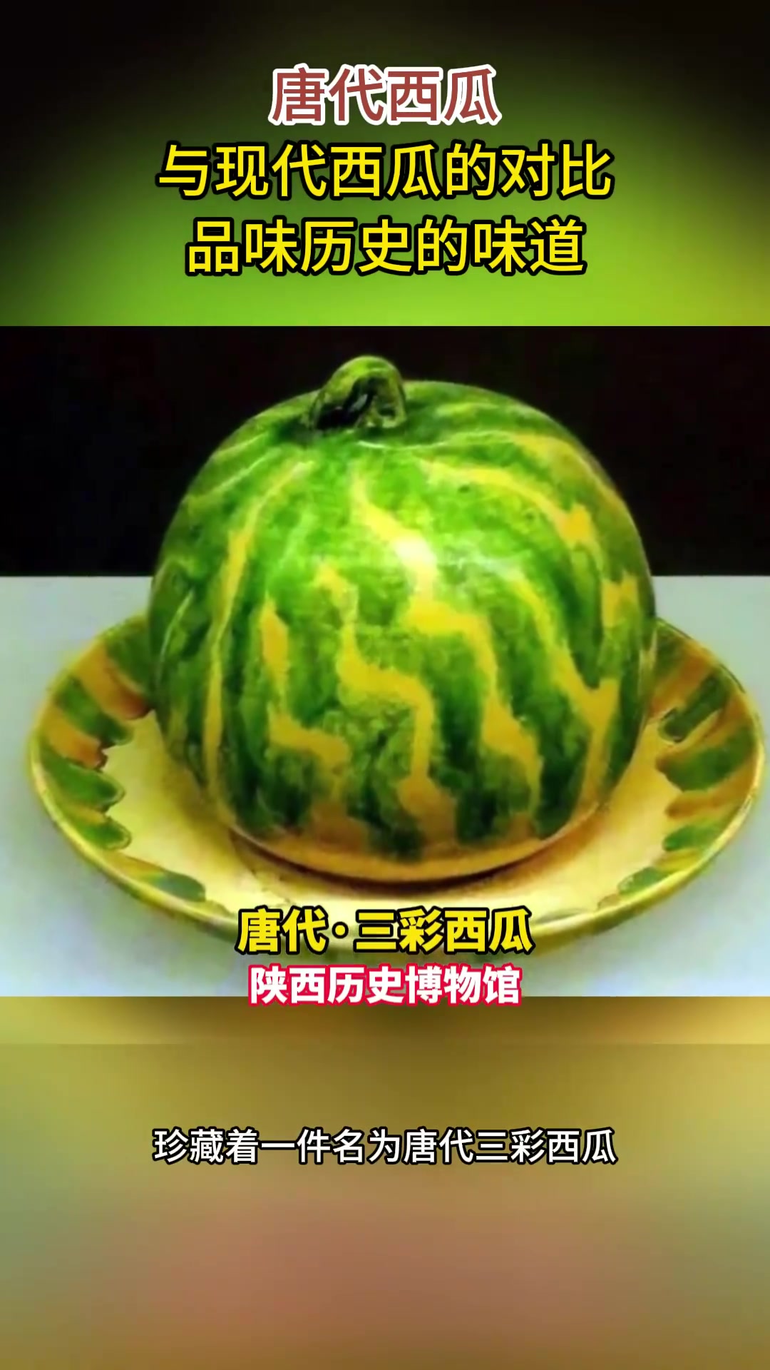 唐代西瓜,与现代西瓜的对比,品味历史的味道