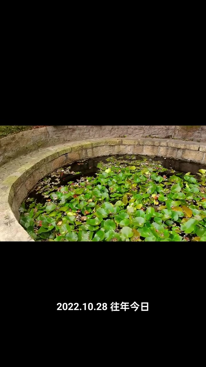 乳山银滩好邻居结伴同游烟霞洞 乳山银滩 户外徒步登山 烟台 烟霞洞