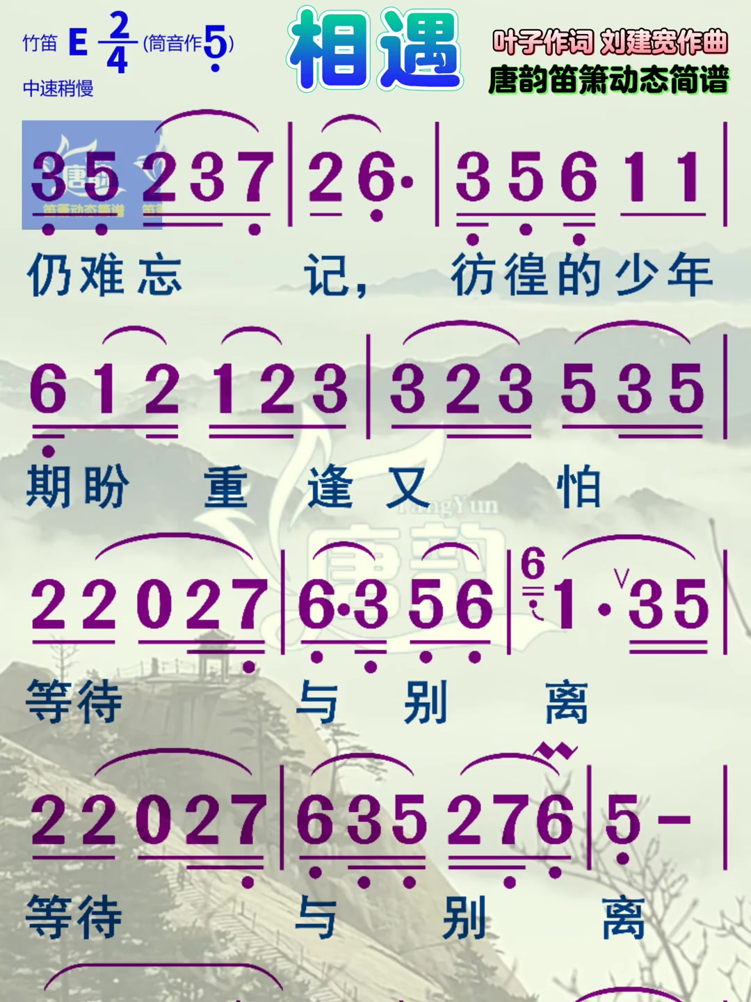 《相遇》笛箫动态简谱