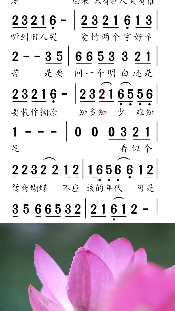 《新鸳鸯蝴蝶梦》有声简谱