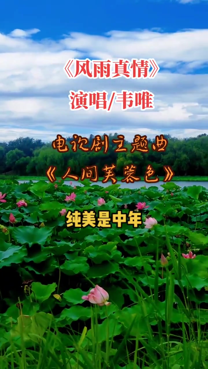 《风雨真情》风雨见真情