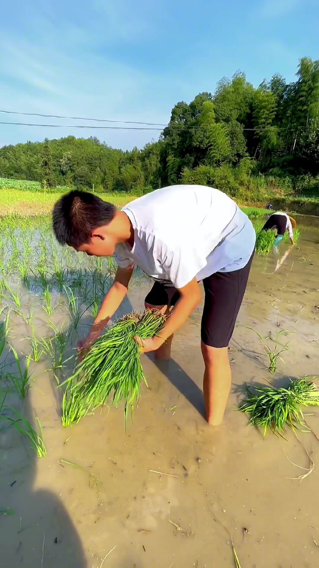 你不好好努力学习,你就得吃生活的苦,就得去干农活种田,你就得干最