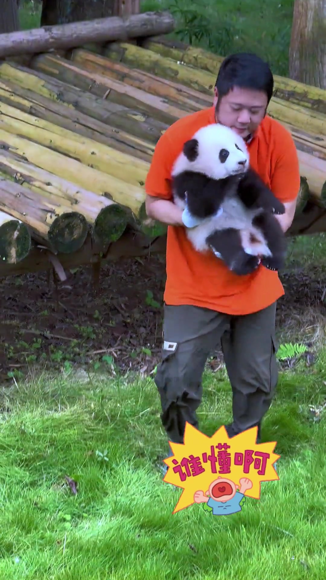 饲养员花式抱熊猫
