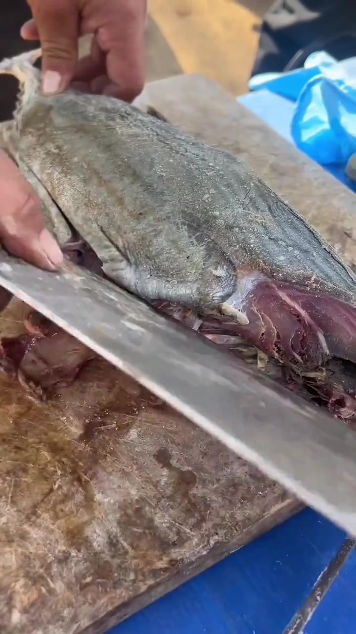 这种海鱼是咸的,鱼肉是红的,发酵而成的大咸鱼很美味