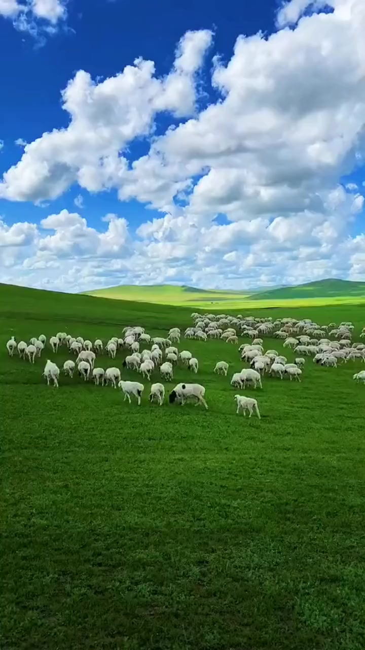 欣赏一下草原美景,草原歌曲《次真拉姆》