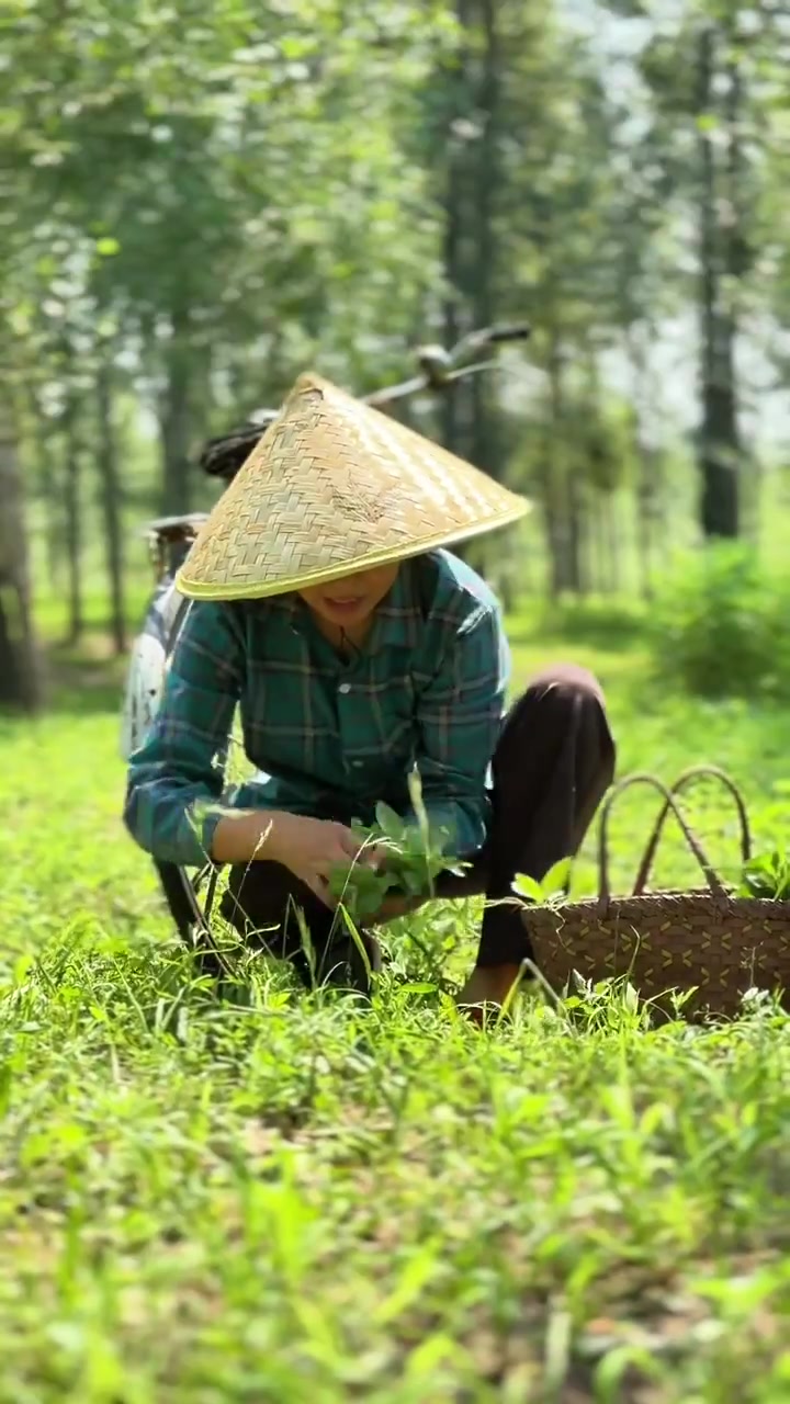 我们这嘎子管它叫线菜,你们管它叫什么呢?