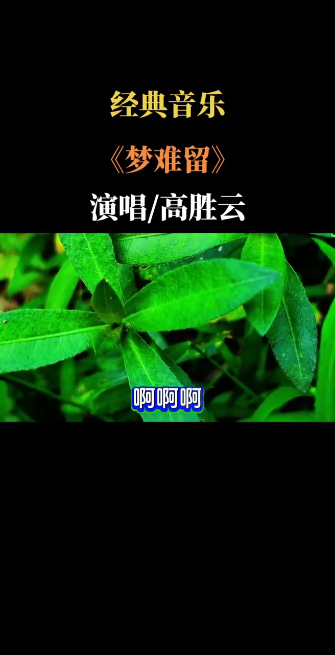 经典音乐《梦难留》演唱/高胜云