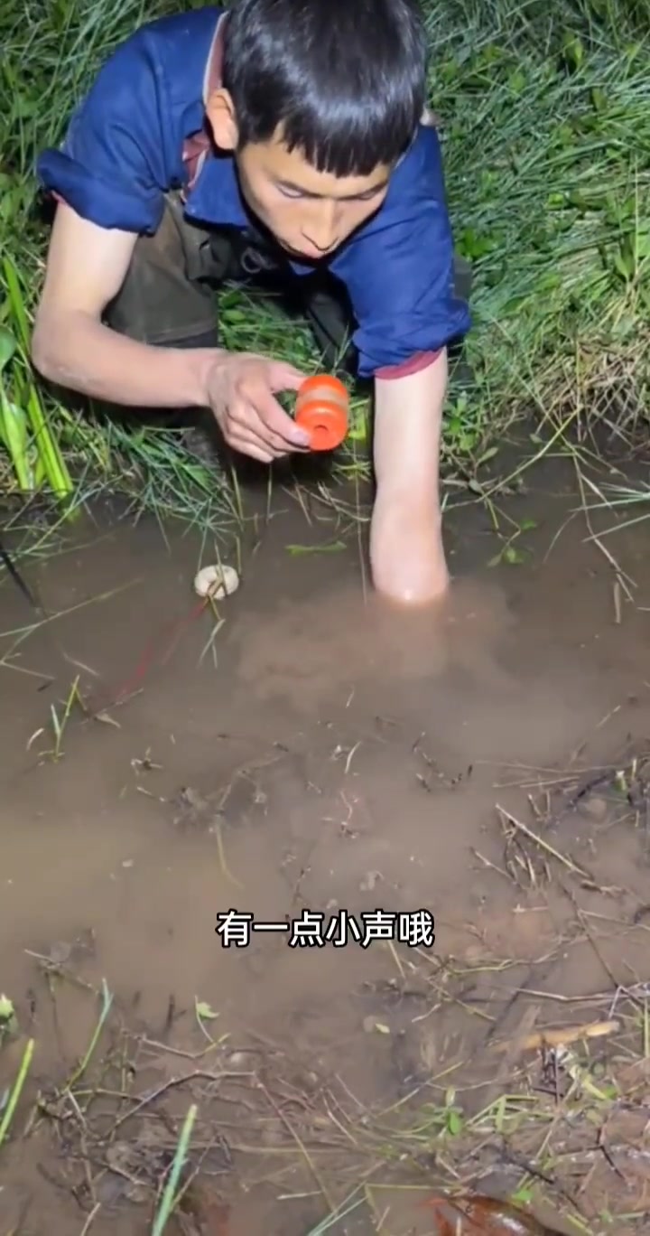 鳝大娃晚上寻找手臂粗黄鳝厉害不厉害?