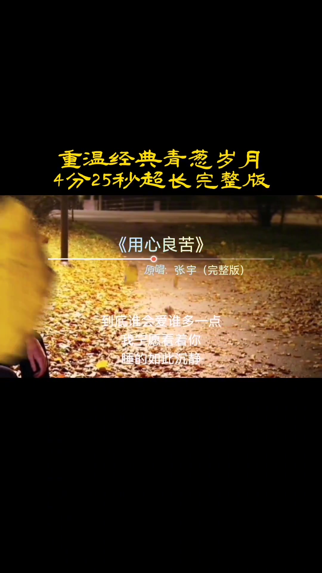 重温经典青葱岁月《用心良苦》4分25秒超长完整版
