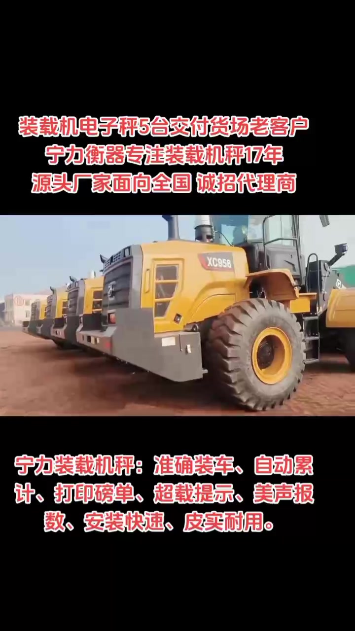 河北装载机电子秤