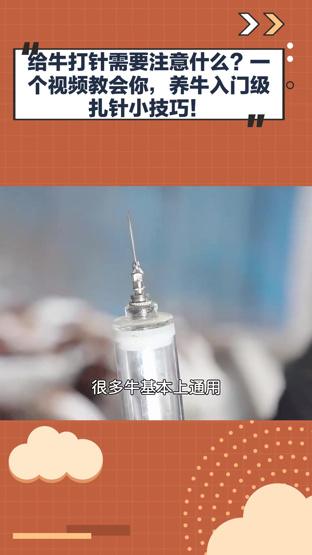 给牛打针需要注意什么?一个视频教会你,养牛入门级扎针小技巧!