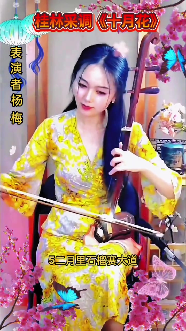 二胡独奏民间小调:桂林采调《十月花》!