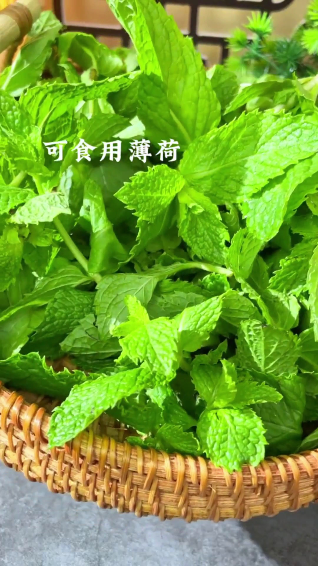 薄荷纯露的制作过程及作用