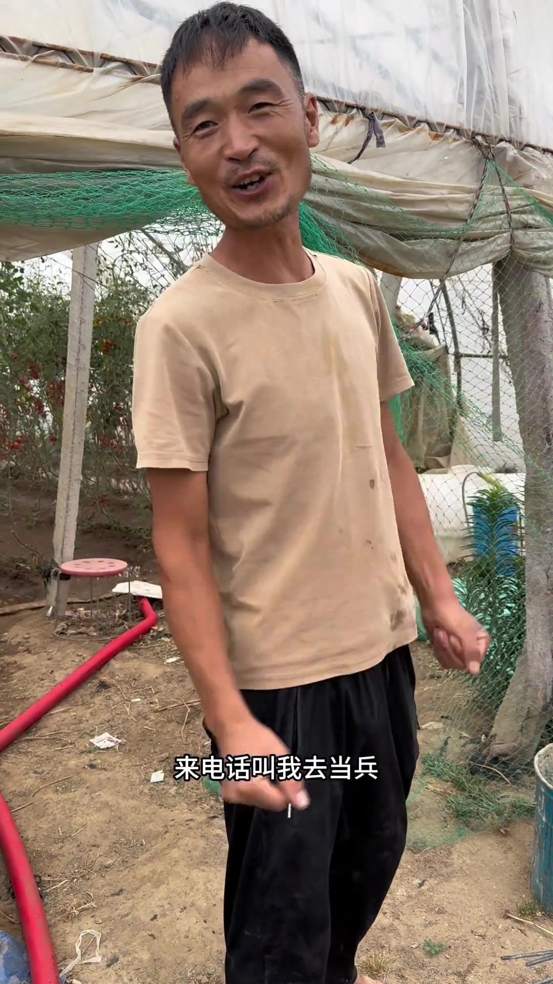 西红柿西瓜都熟了