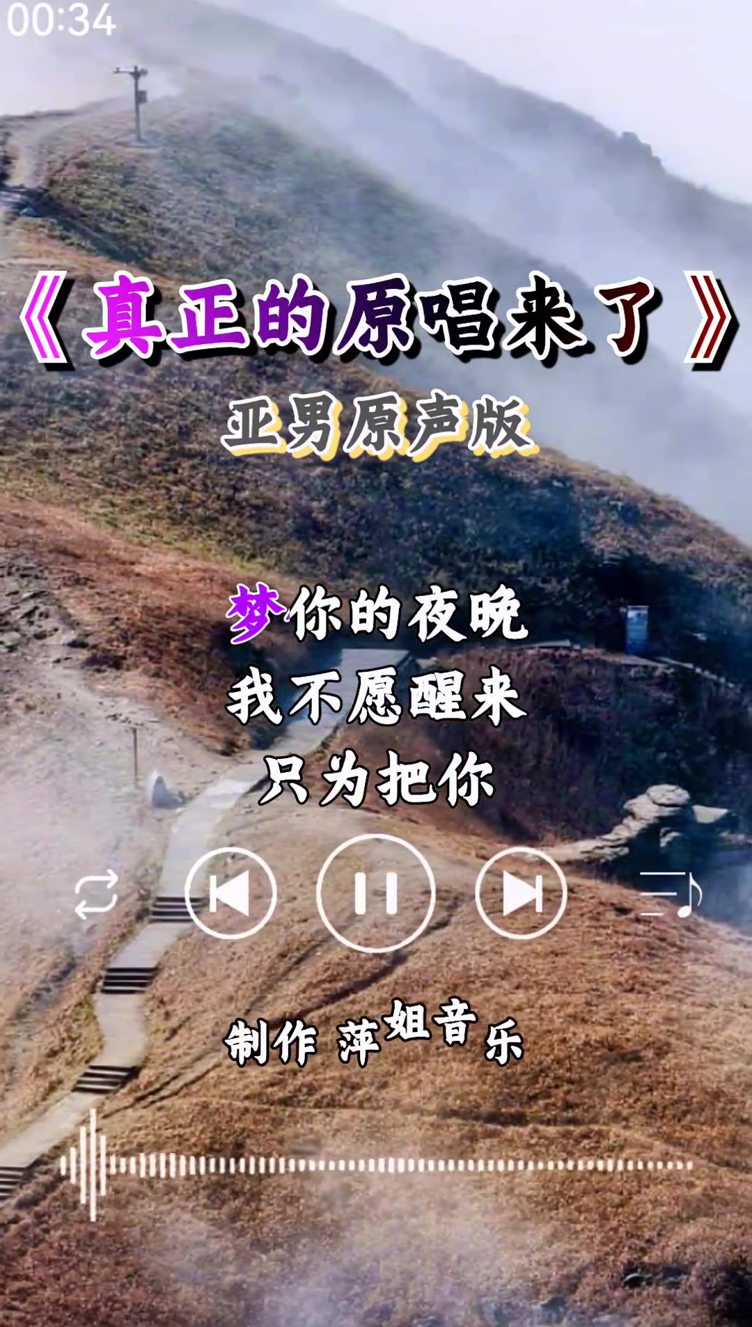 最好听女声版 经典歌曲 画你 百听不厌